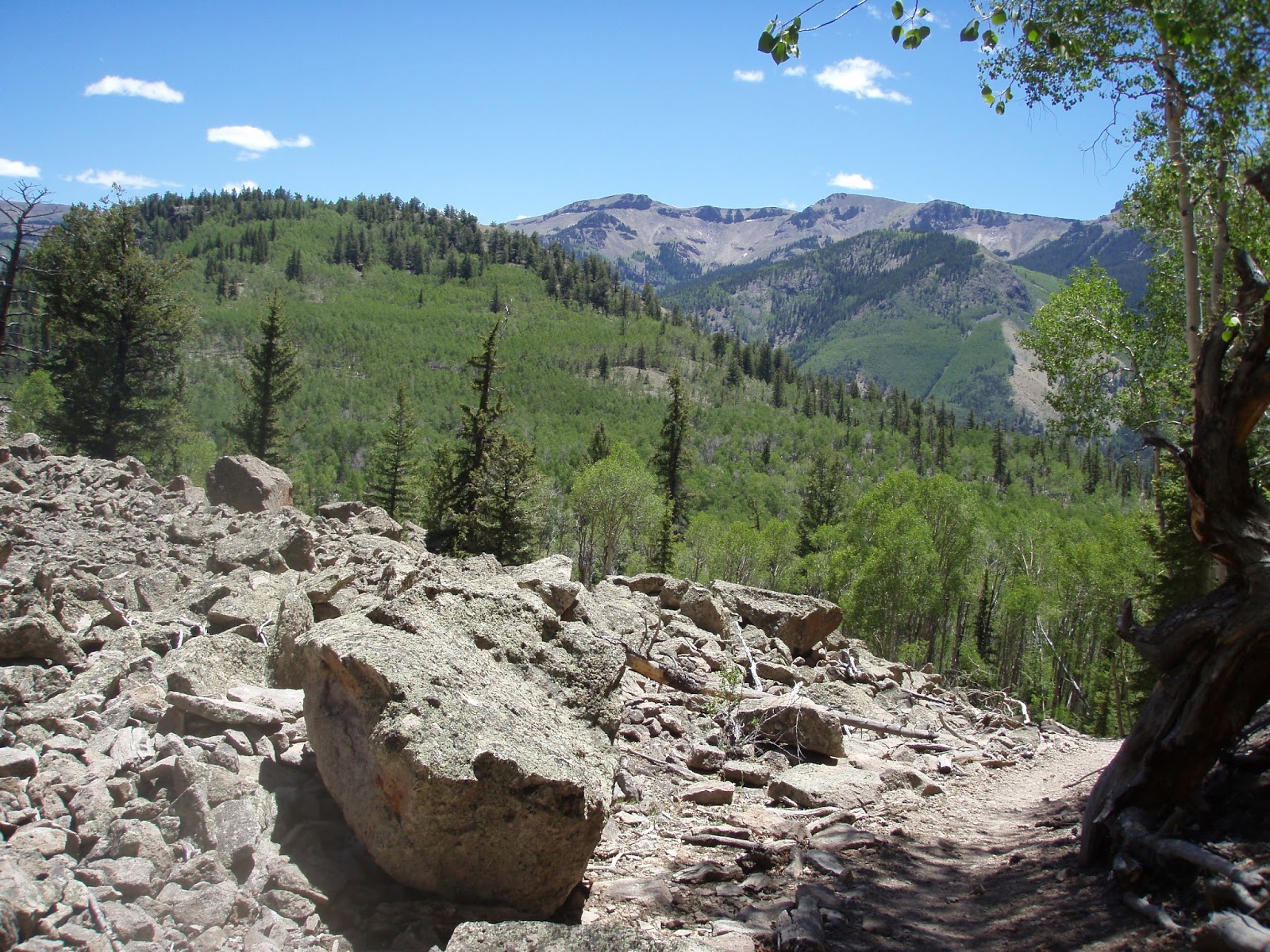 One Day in America Williams Creek Trail near Lake City Colorado