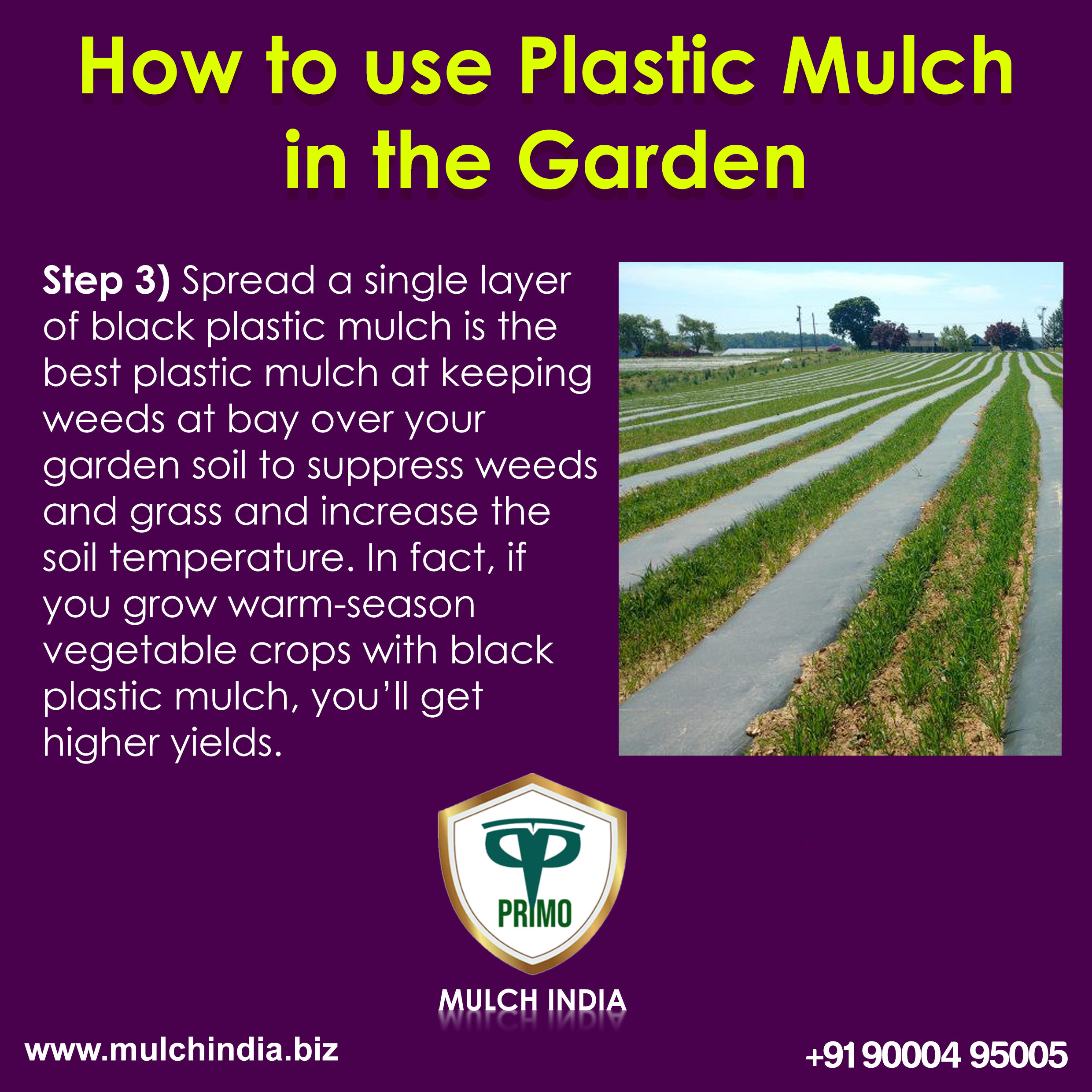 MulchIndia How to use plastic mulch Step 3 Mulch India Call+𝟵𝟭