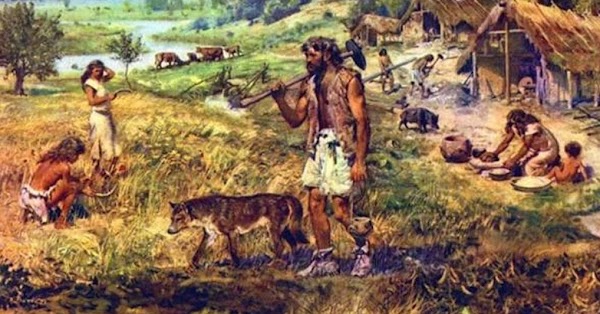 Domesticación del perro durante la era paleolítica Domesticación del perro durante la era paleolítica