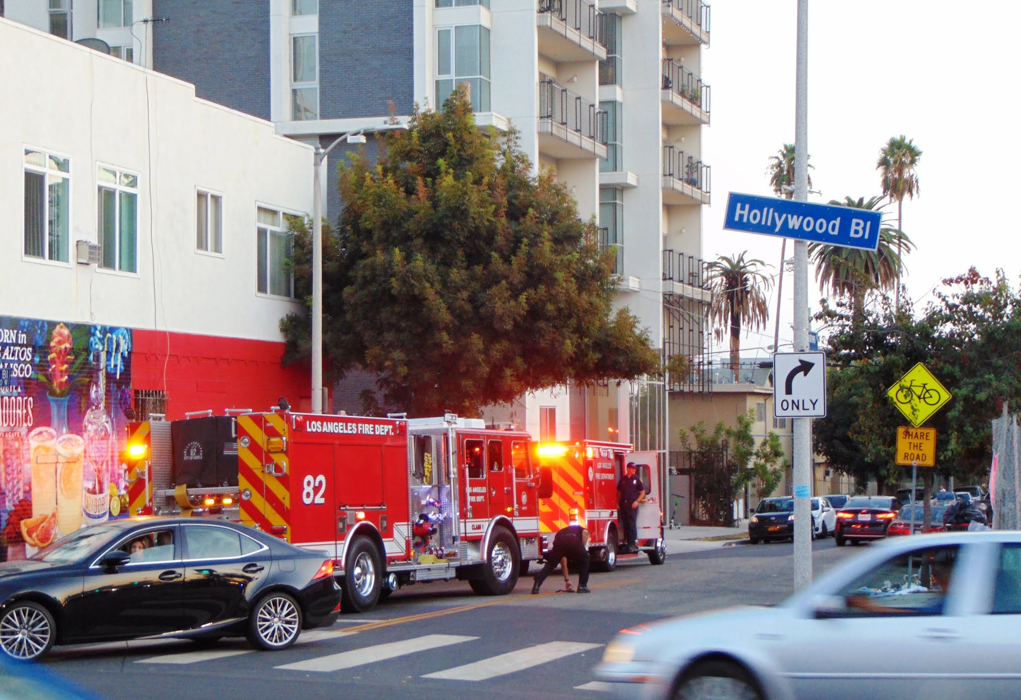 WEB OF EVIL ENNUI Emergency Hollywood Bl 2968.JPG