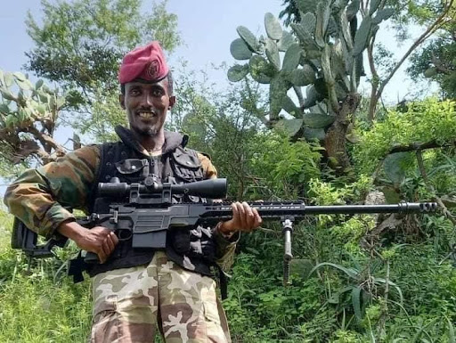 Emirati Small Arms in Ethiopia
