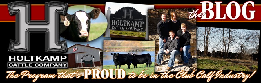 Holtkamp Cattle Co