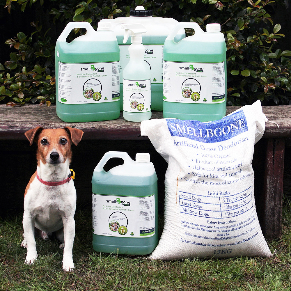 15 Best EcoFriendly Pet Brands for Dog Lovers Australian Dog Lover