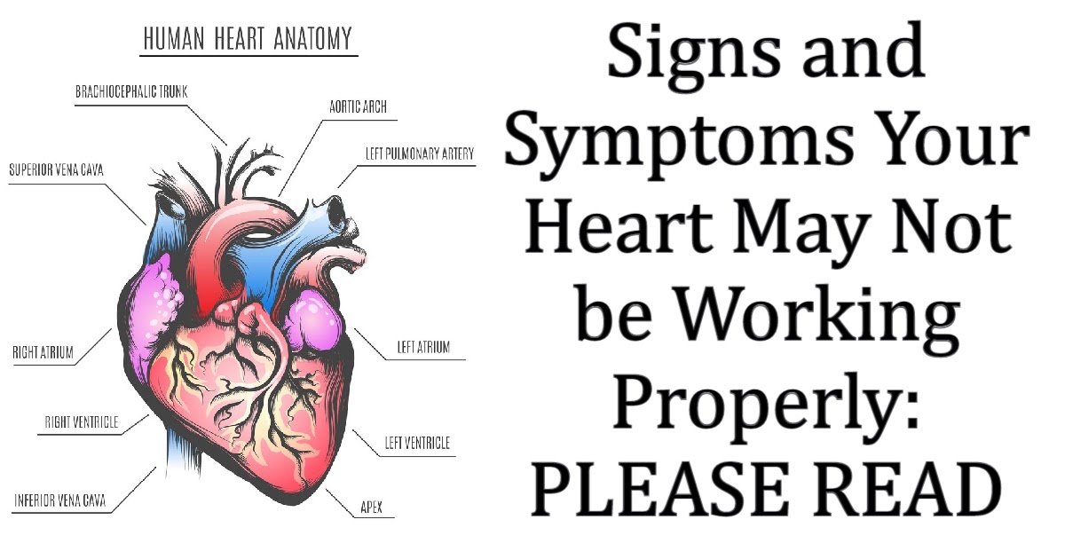Signs and Symptoms Your Heart May Not be Working