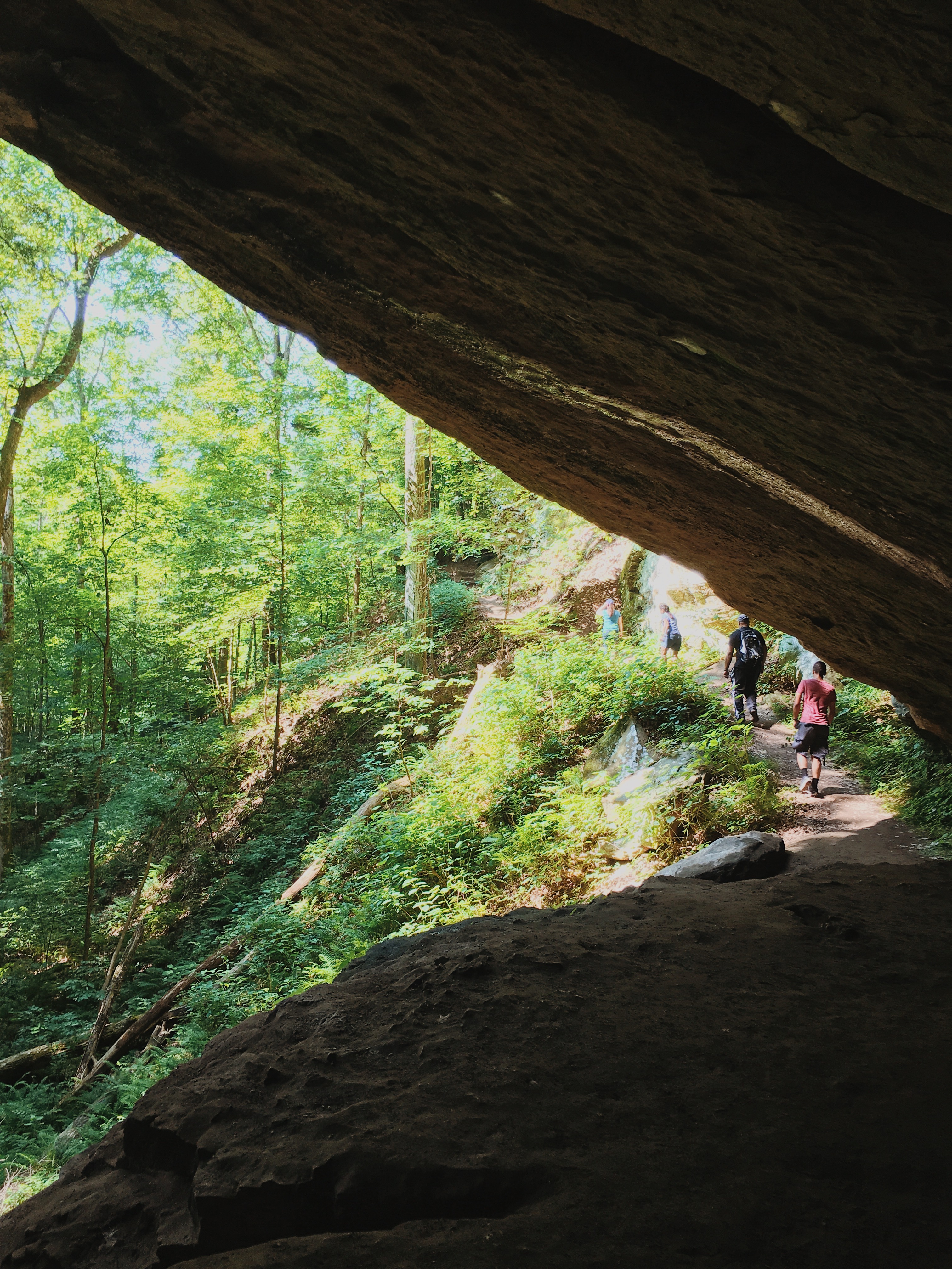 Hoosier National Forest A Little Life