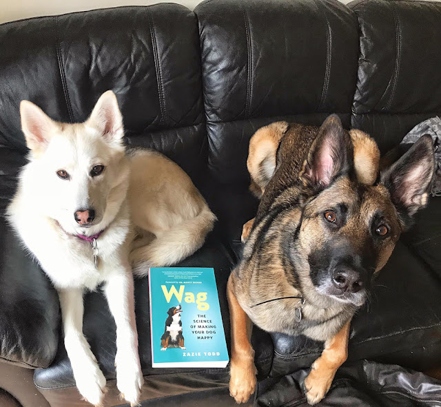 Wag Happy Dogs: A Photo Post (Part 2)