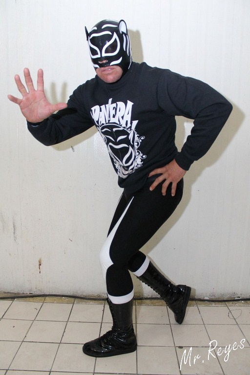 ESTRELLAS DEL RING. El Regreso del PANTERA 1.