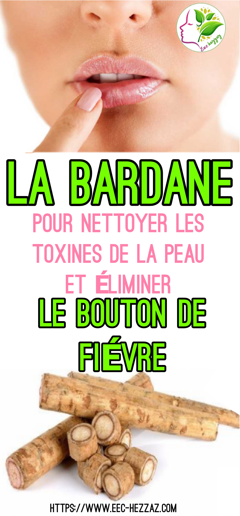 La bardane pour nettoyer les toxines de la peau et éliminer le bouton de fièvre