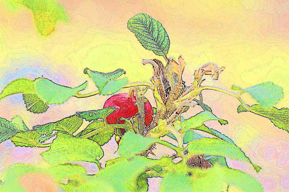 공주 계룡산 갑사 공주 계룡산 갑사