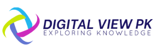 Digital View PK - Digital Marketing & Online Brand Management Agency 