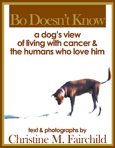 Bo's First Book! All Profits Go to Charity!