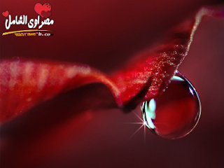 خلفيات مكتوبة عليها كلمات قوية خلفيات مكتوبة عليها كلمات قوية
