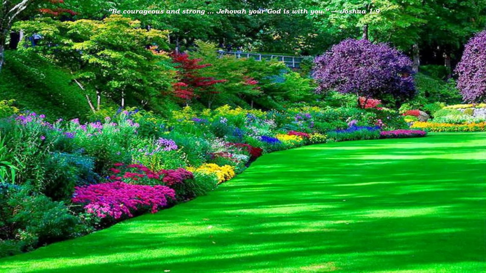 Beautiful New Wallpaper: Images For Beautiful Nature Wallpaper 3d For ...