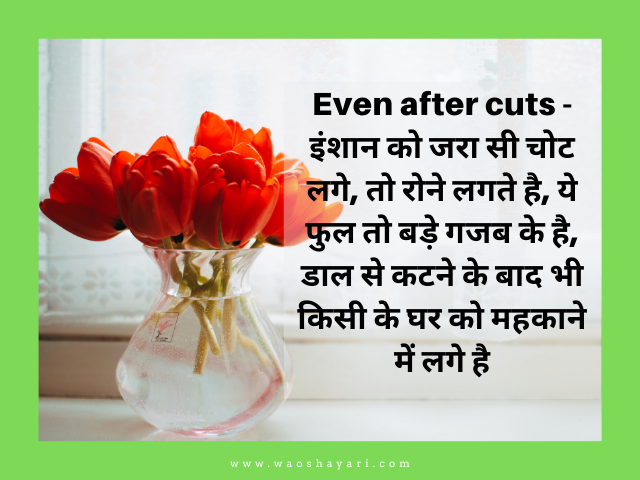 good morning flowers images for whatsapp status good morning status