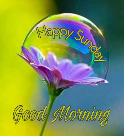 Good Morning Happy Sunday | 25+ Good morning happy Sunday Images Good Morning Happy Sunday | 25+ Good morning happy Sunday Images