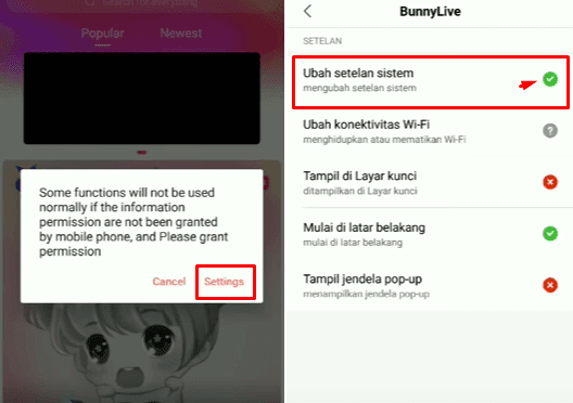 setting aplikasi bunny live