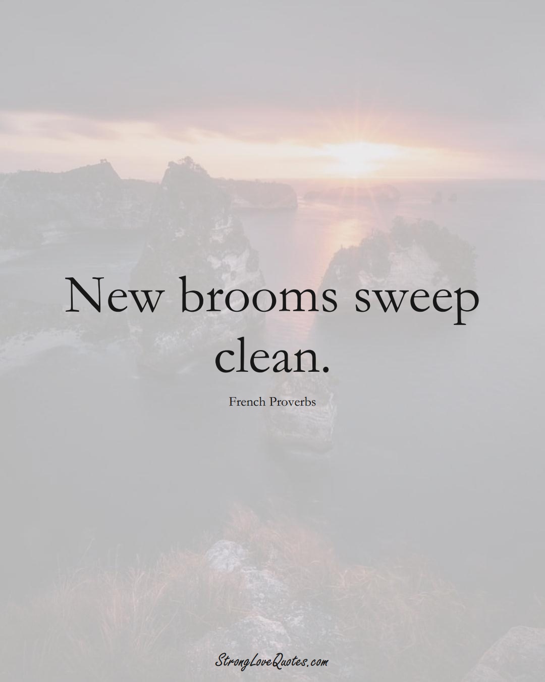 New brooms sweep clean. (French Sayings);  #EuropeanSayings