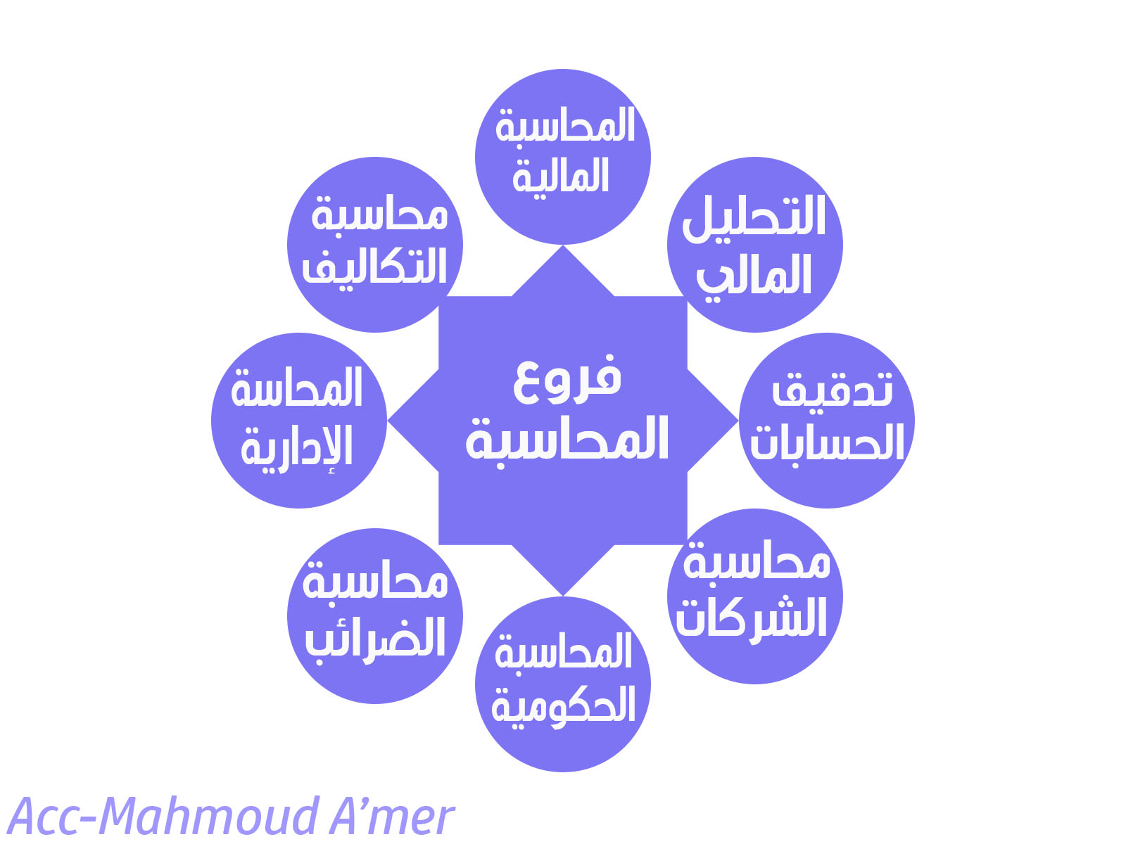 فروع المحاسبة