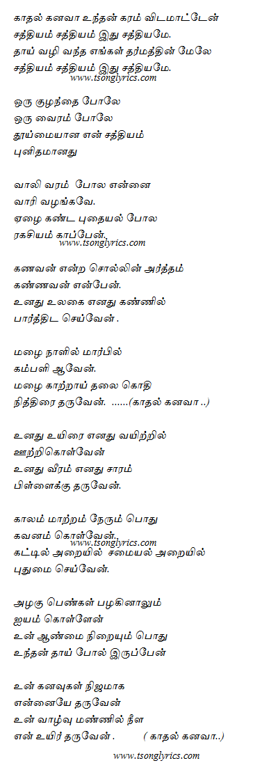 Manapennin Sathyam (Kadhal Kanavaa) Lyrics in Tamil | Millions of song ...