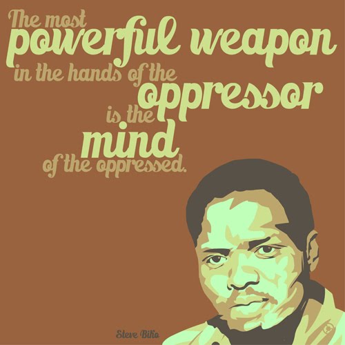 STEVE BIKO PDF