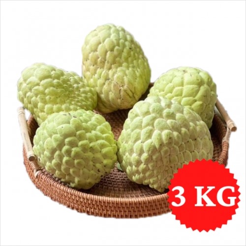 Na Xiêm (400-800g/quả – Hộp 3kg)