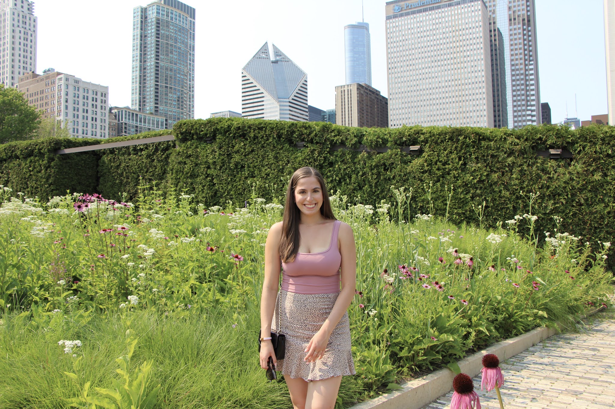 garden, Chicago, illinois, the loop, downtown, city, summer, summer outfit