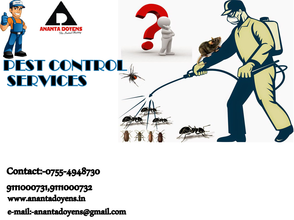 Ananta Doyens Handyman Service Best Pest Control Service In Bhopal