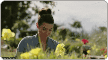 rounded_corners%2B%25287%2529ci.gif