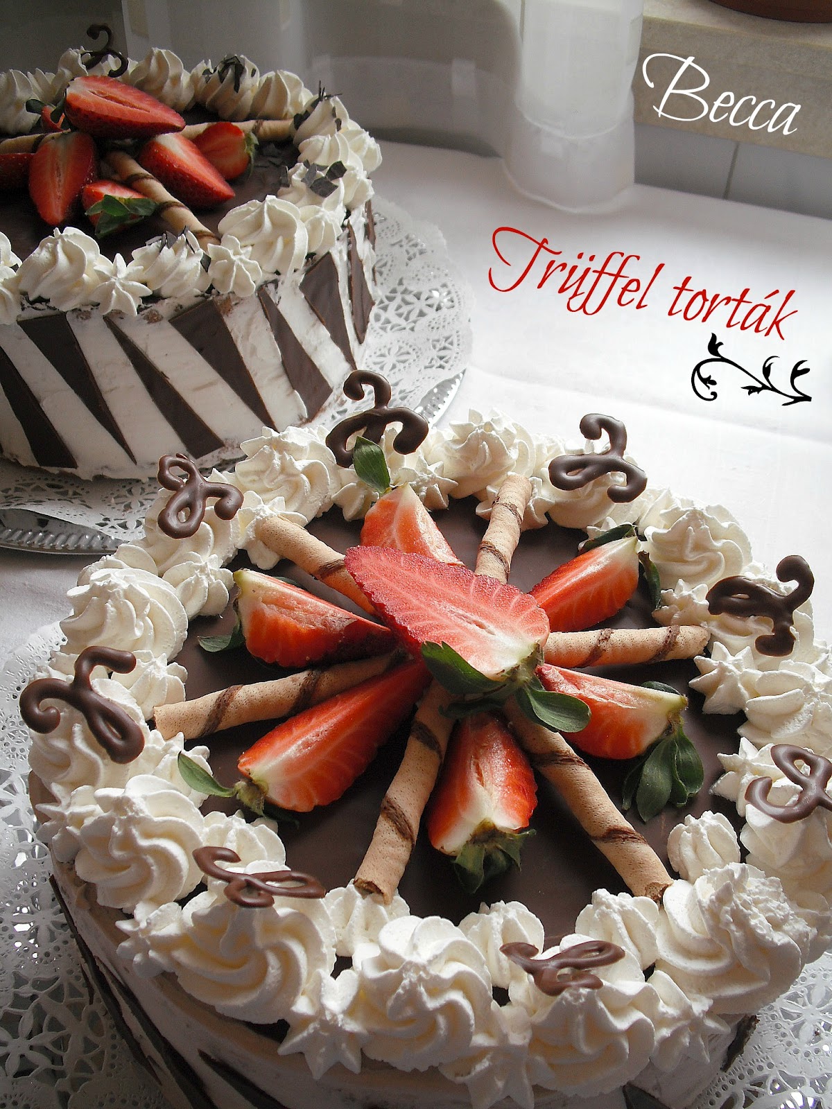 Trüffel torta