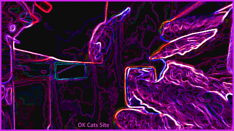 Art Cat GIF • Woah! Psychedelic cat catching a ball: what a super high jump in slow motion Art Cat GIF • Woah! Psychedelic cat catching a ball: what a super high jump in slow motion