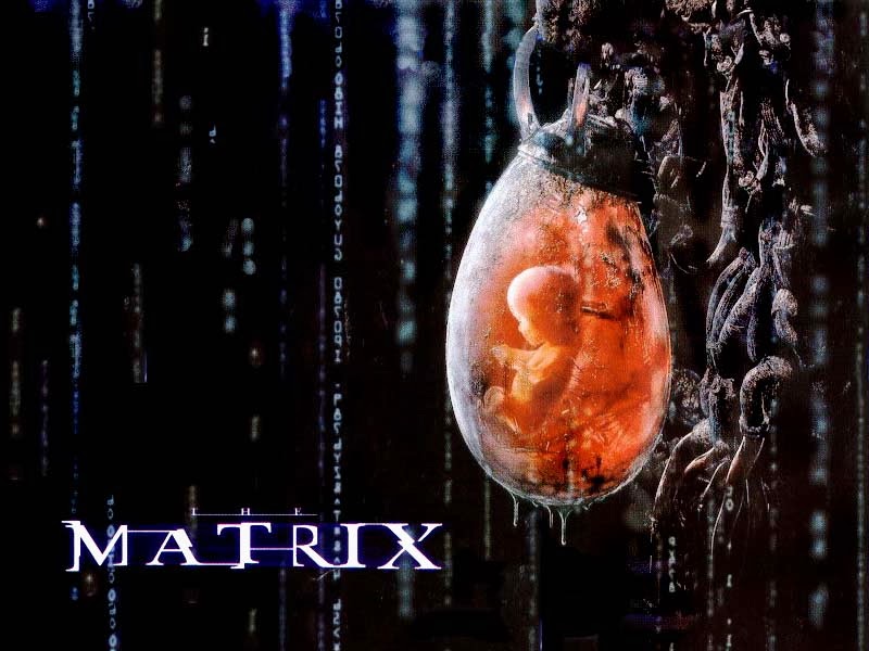 Movies And Philosophy Now The Matrix Society And Religions That Imprison Us All