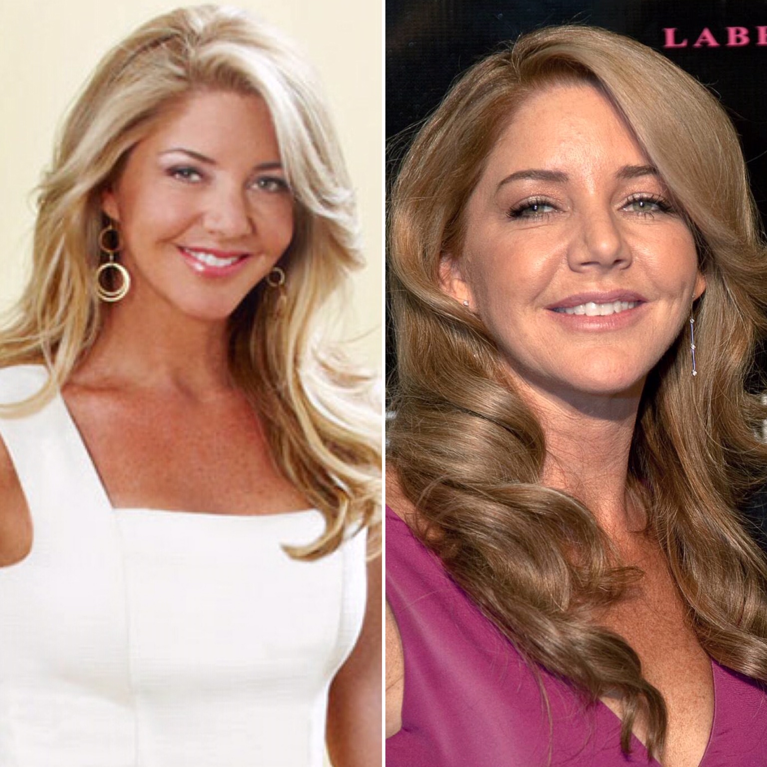 Former Real Housewives Of D C Stars Where Are They Now