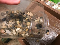 Putting the river rocks into the pot