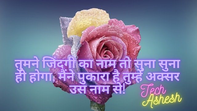 Love Quotes in Hindi Shayari,Whatsapp Status Hindi,"love quotes in