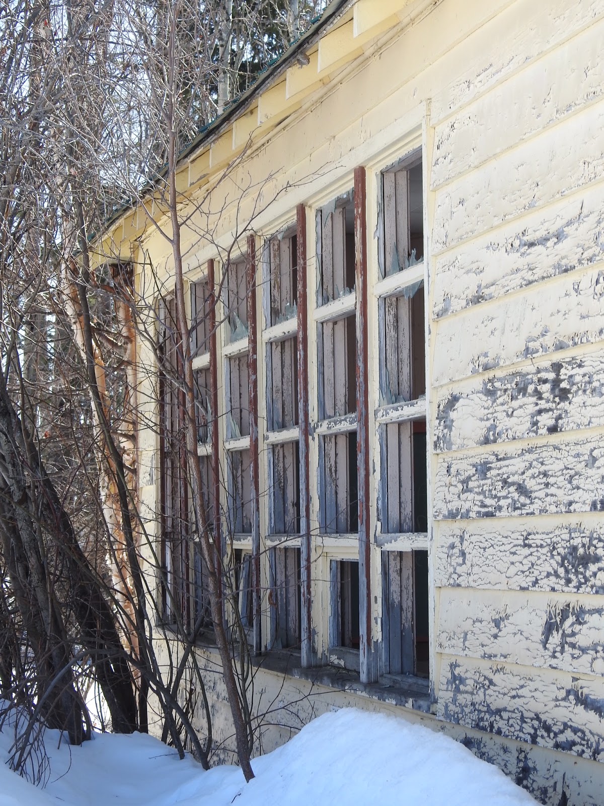 The view from here Foley Timber School