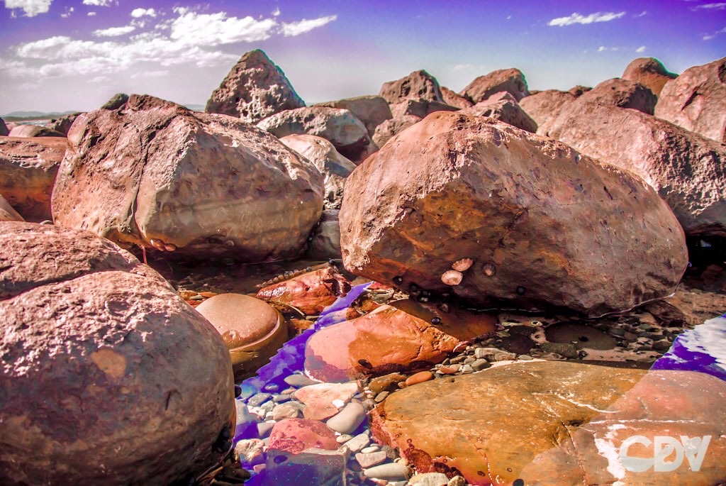 CDV’s “Dream Rocks”