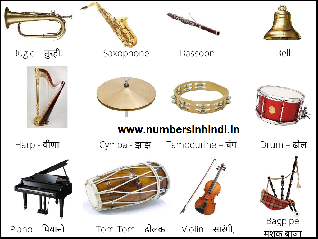 Musical instruments names and information with pictures म्यूजिकल