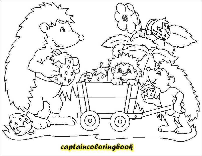 Coloring book pdf download