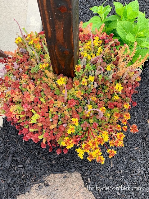 easy garden tiles in planters