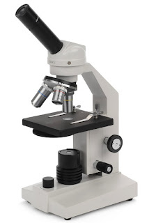 High school student microscope.