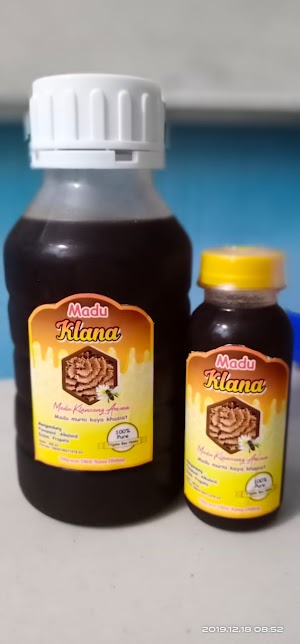 Madu Klanceng Asli
