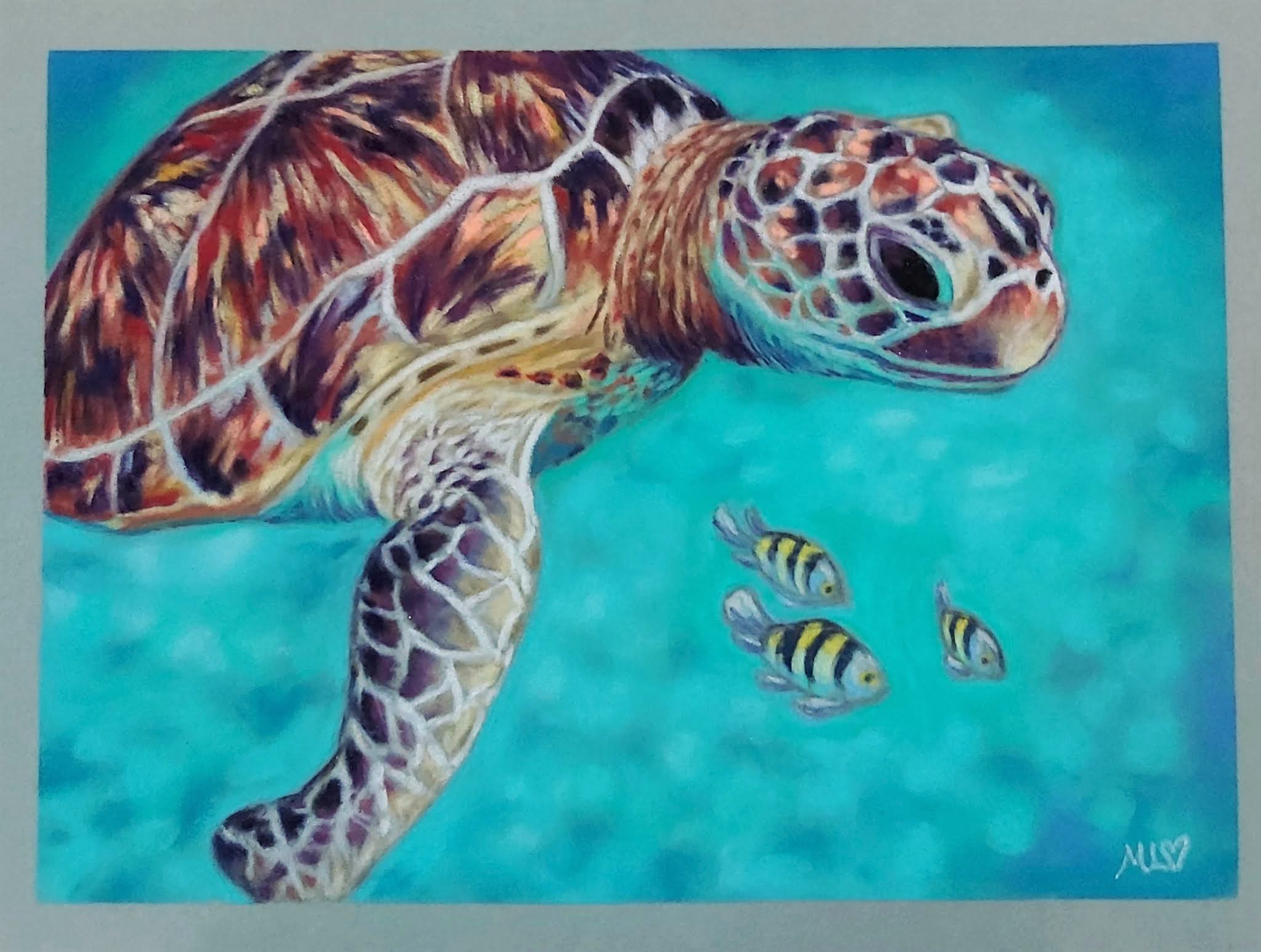 Sea turtle in pastels