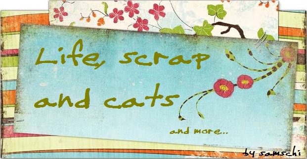 Life, scrap and cats