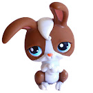 Littlest Pet Shop Pet Pairs Rabbit (#121) Pet Littlest Pet Shop Pet Pairs Rabbit (#121) Pet