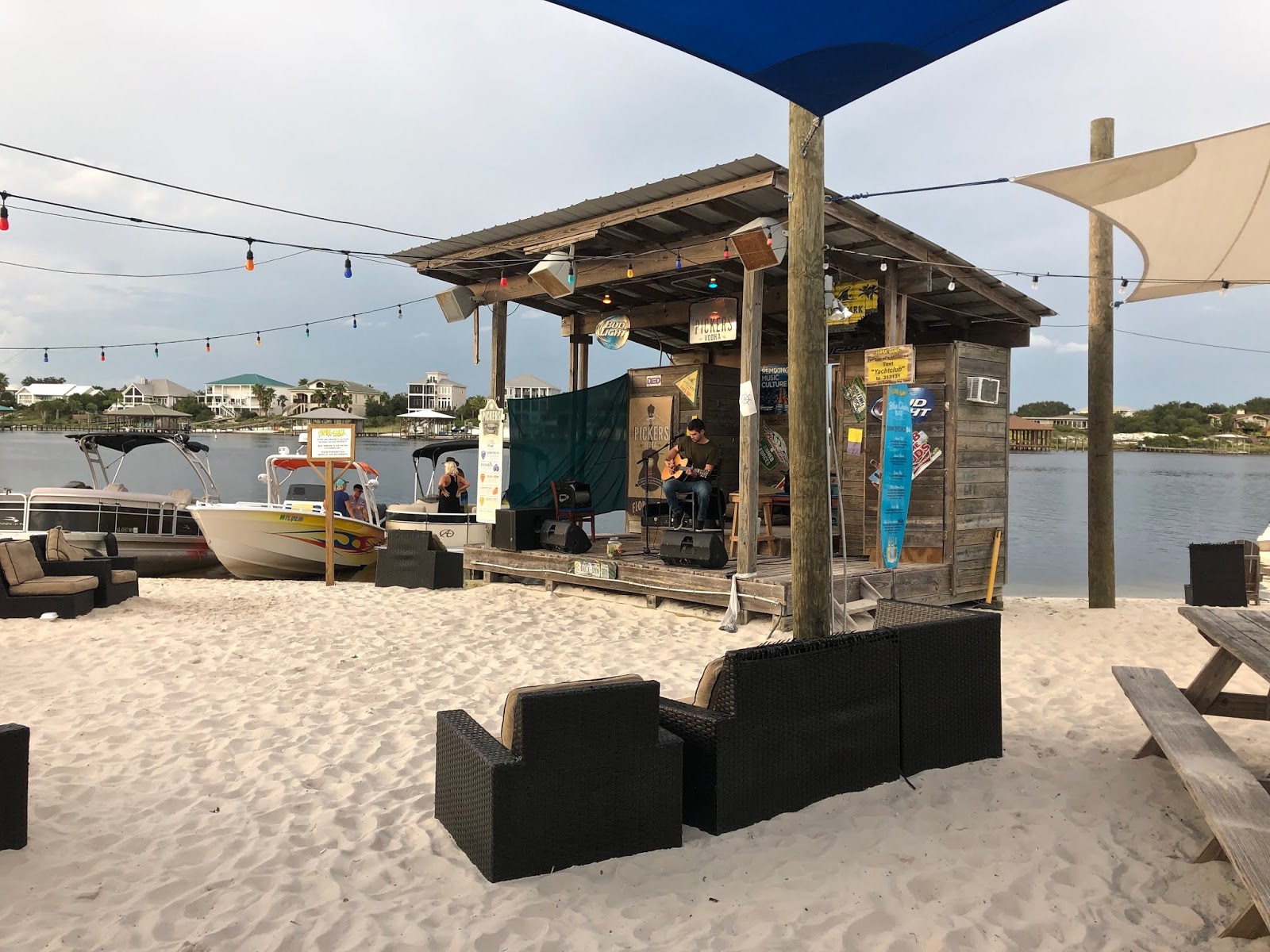 IS THAT THE CAT THAT CHEWED YOUR NEW SHOES?