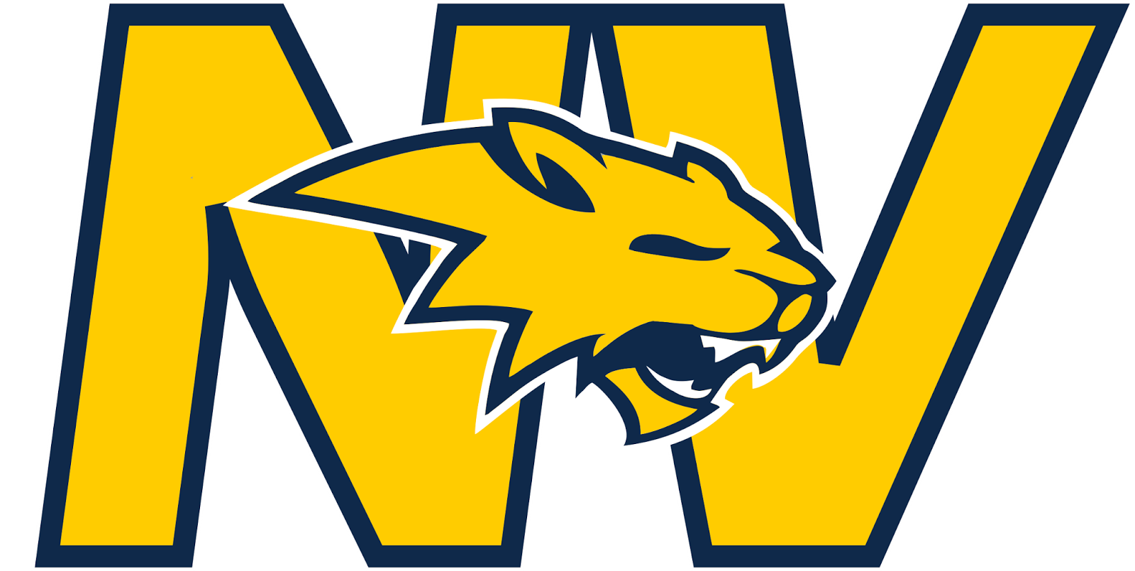 Neuqua Valley News Wildcat Summer Athletic Camps