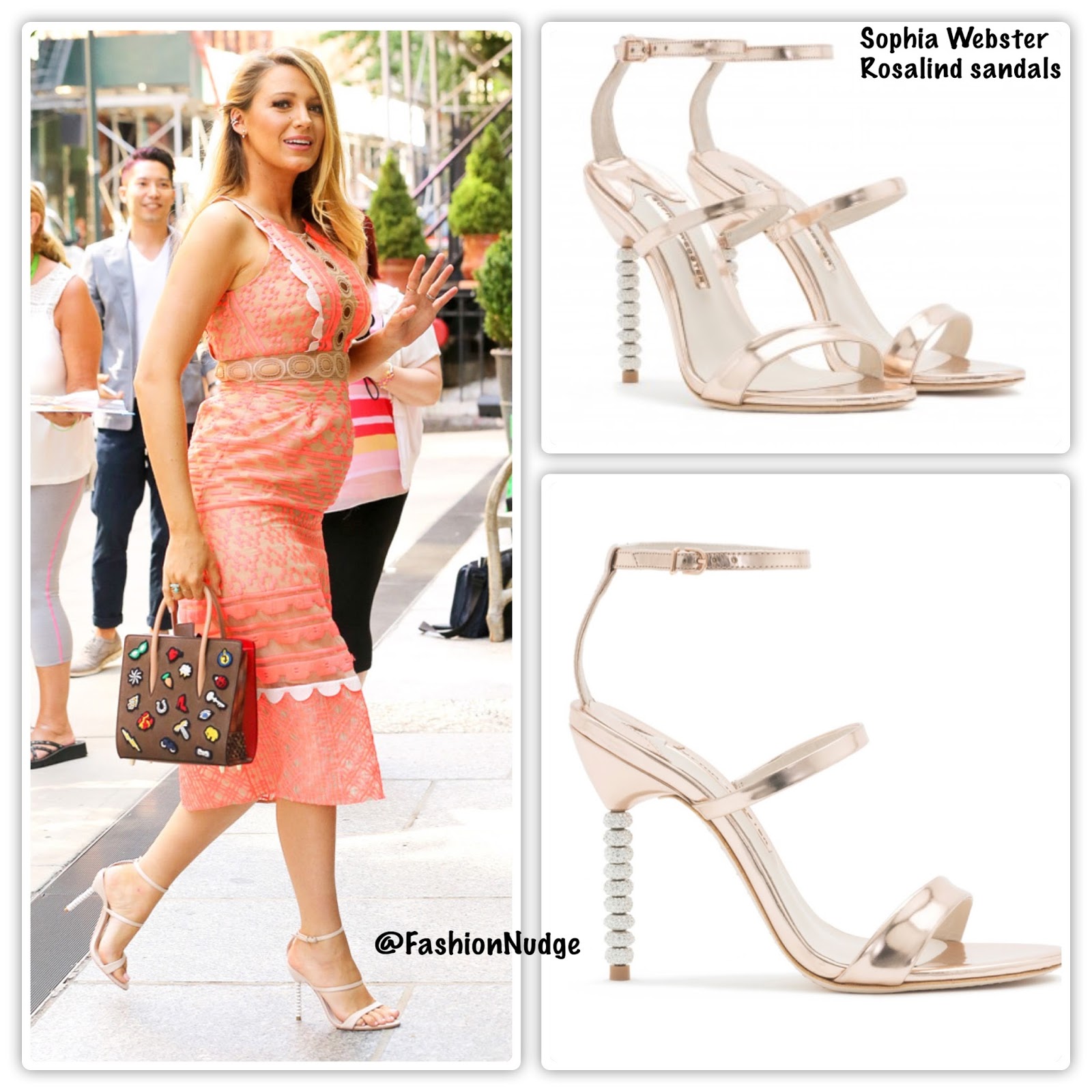 sophia webster new york