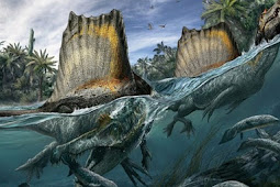 اكتشاف أول " ديناصور مائي " في العالم بالمغرب 