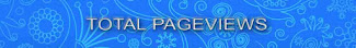 total page view