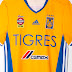80 latigazos por apoyar a Tigres